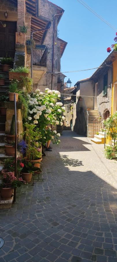 Апартаменты La Chascona Di Farnese Casa Di Tufo Nel Borgo Экстерьер фото